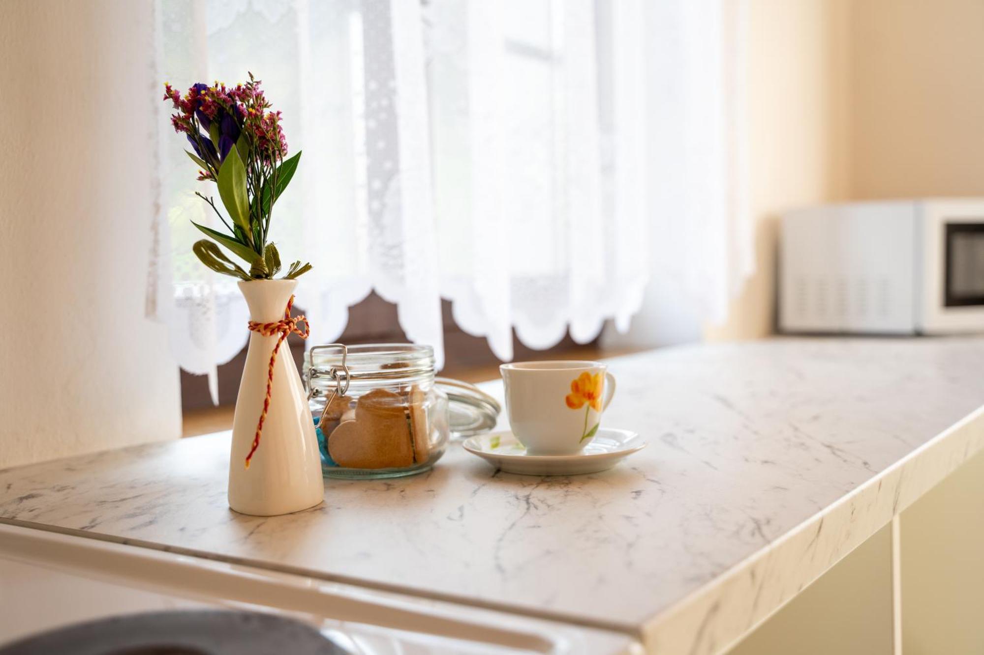 Apartment Myskova Teplice nad Metuji
